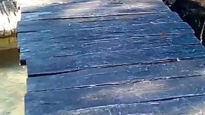 форель и осетр в одном пруду