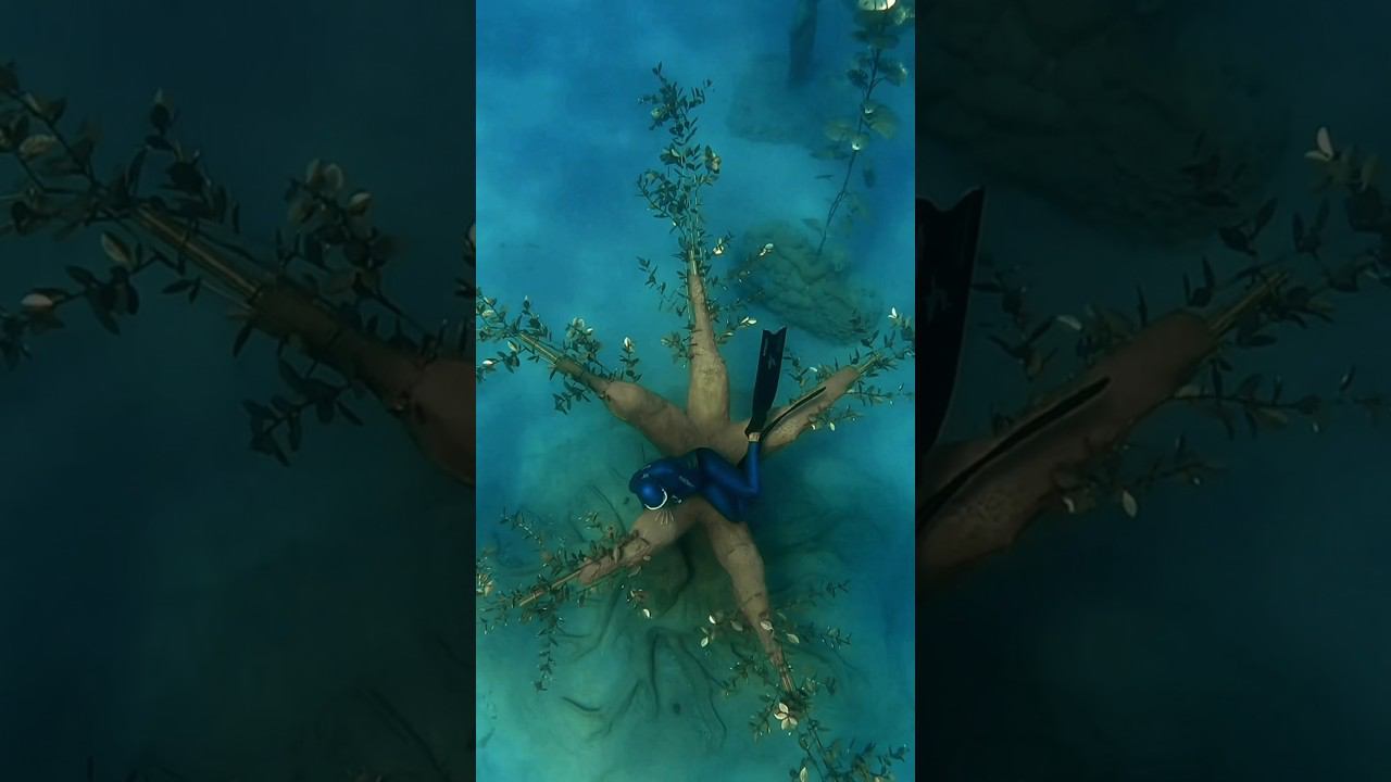 Подводный музей на Кипре! #фридайвинг #underwater #freediving #gopro смотреть онлайн
