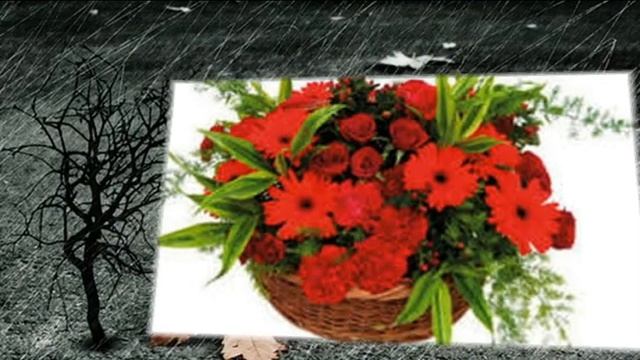 Сергей Васюта гр Ласковый сон Цветы смотреть онлайн