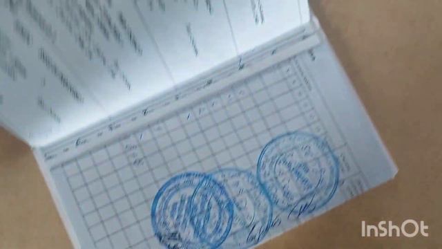 Лайки Рел. В'язка 20.02.2023 Рекомендація щодо цуценят. смотреть онлайн