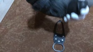 Как носить ледоступы