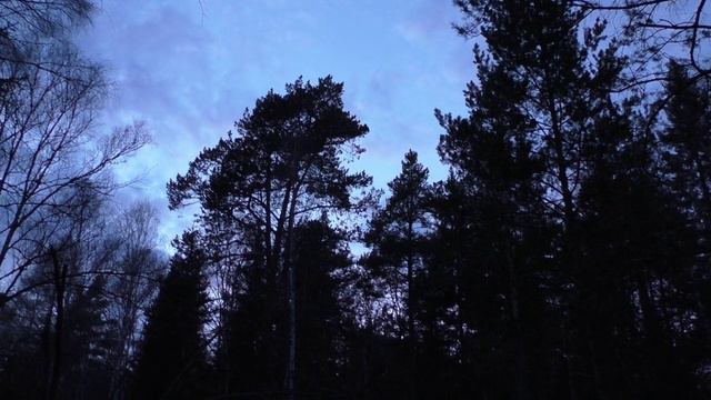 Походный рюкзак. смотреть онлайн