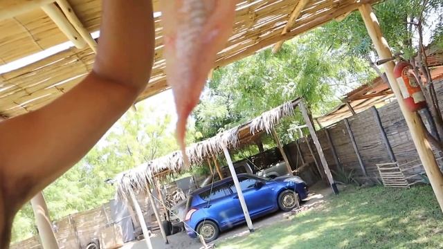 Mi viejo preparó un CEVICHE de S/ 6.00 смотреть онлайн