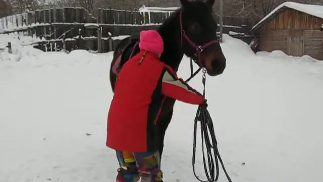 Ножки крестиком.AVI смотреть онлайн