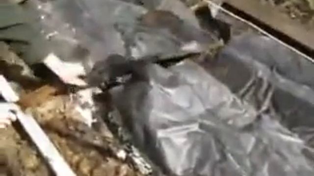 Открываем виноград ранней весной смотреть онлайн