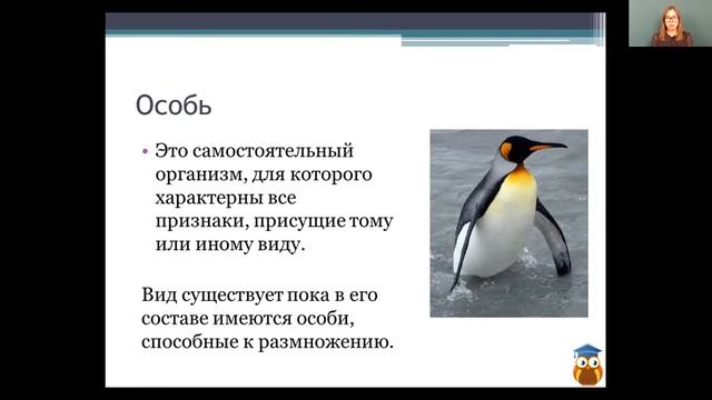 Биология 5 класс 3-4 недели. Царства живой природы смотреть онлайн