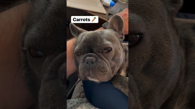 chicken chicken смотреть онлайн