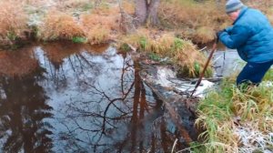 Разбор бобровой плотины в начале ноября 2020 года