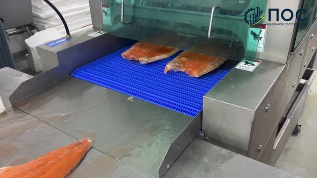 Инъектор для посола красной и белой рыбы: форель, лосось, семга, кета. 23% на первом же тестировани смотреть онлайн
