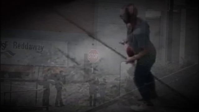 The Seattle Zombie Woman: An Internet Mystery смотреть онлайн