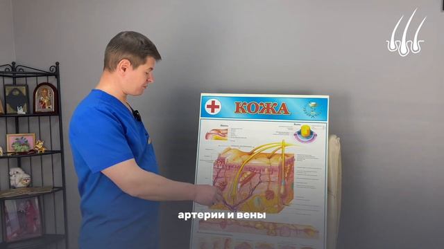 С какого месяца начинают прорастать пересаженные волосы?|| пересадка волос смотреть онлайн