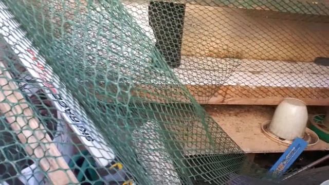 На участке бакдак по тому что...Очаг из колёсного диска...Желания и возможности. смотреть онлайн