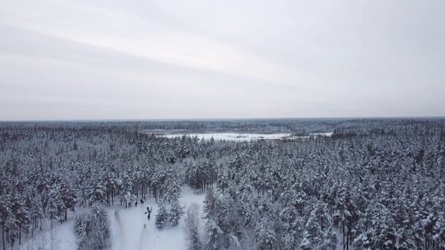 DJI Mini 2 зимний лес 9 января 2022 смотреть онлайн