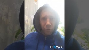 Про свидетельства об образовании