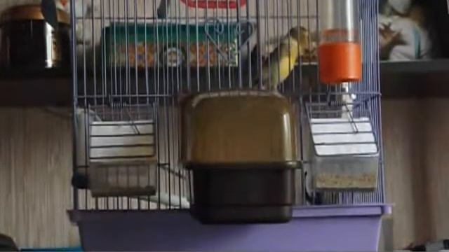 день 3-ий, занятие 2-ое смотреть онлайн