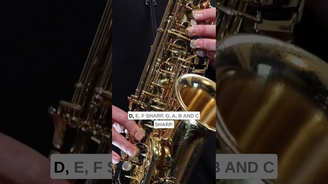 Careless Whisper Sax Solo Glissando Explained #altosax #saxlessons #saxophonelessons смотреть онлайн