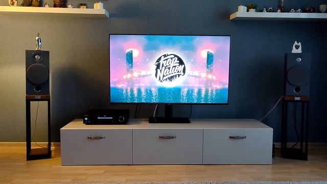 для покупателя видео, Focal Chora 806