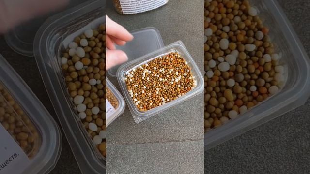 Осмокот в наличии Воронеж.#гортензия #осмокот #удобрения смотреть онлайн