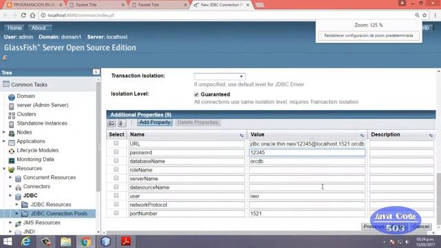CRUD EJB JPA ORACLE 11G NETBEANS 8.02 Parte 3 смотреть онлайн