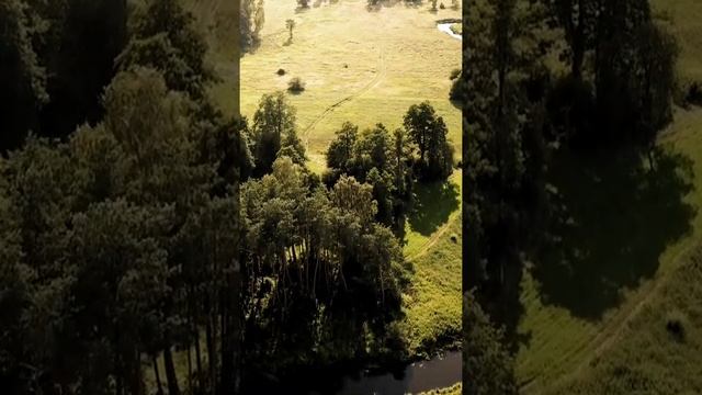 Нежная лечебная музыка здоровья и для успокоения нервной системы, Музыка которая помогает уснуть смотреть онлайн