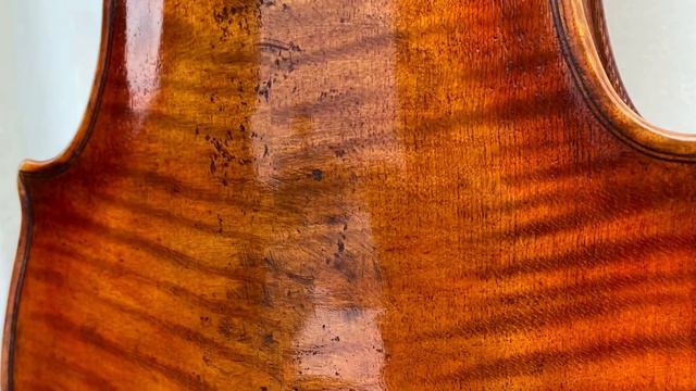 Violin Daniele Ranieri 2021                Sound Sample