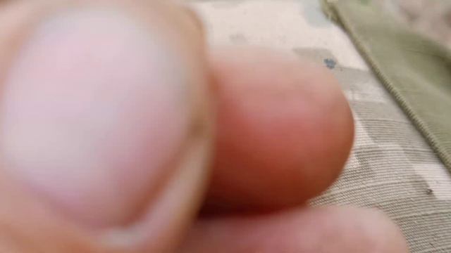 лесная поляна порадовала серебром смотреть онлайн