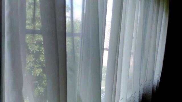 выбираем дачу рядом с заповедником смотреть онлайн