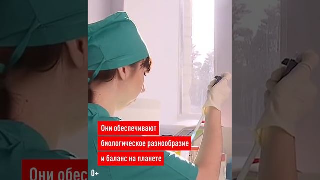 Что будет, если на планете исчезнут все вирусы?
