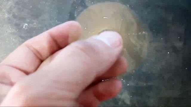 Маленький спиннер