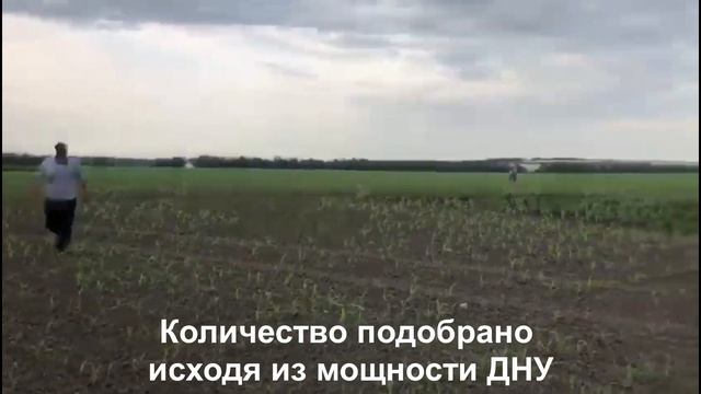 10 спринклеров Маринер (Mariner), Sime - Италия, поливают кукурузу (Юг России)