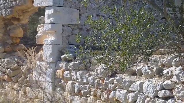 Excursión: Puig de Sant Nofre (Sant Joan) a Sineu (Mallorca). смотреть онлайн