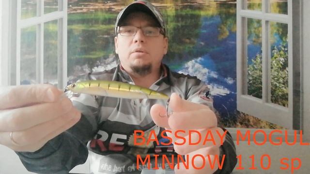 Обзор воблеров 110-го размера за 5 лет. Рейтинг лучших... смотреть онлайн