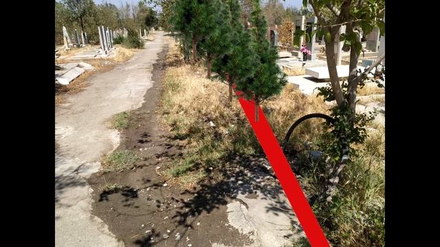 Сделаем добро вместе... Не для себя прошу, а для кладбища! смотреть онлайн