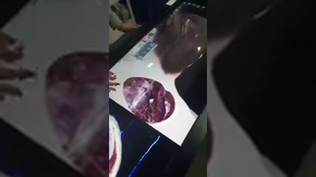 parts of body scanner смотреть онлайн