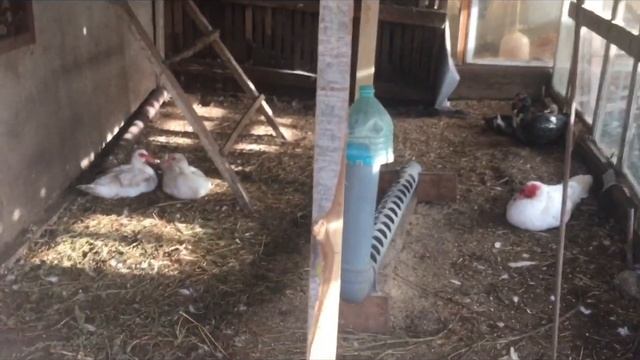 СТРОИМ ХОЗПОСТРОЙКИ БЕЗ   ДЕНЕГ?⚙️???