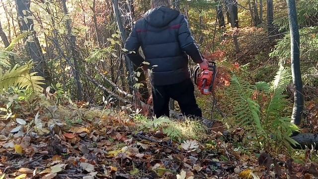 В лес за дровами на ваз 2107. смотреть онлайн