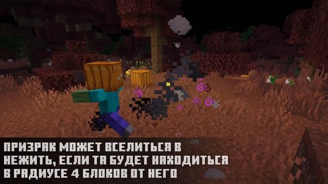 Призраки И Новый Биом - Whiteline Ghosts | Майнкрафт Датапак От Whiteline