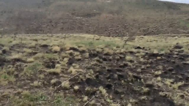 В поисках клада ( Воронежская область ) день 2 смотреть онлайн