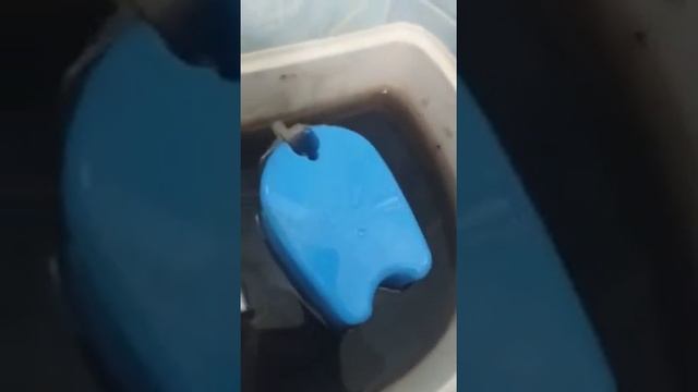 Чиним унитаз. Ремонт поплавка смотреть онлайн