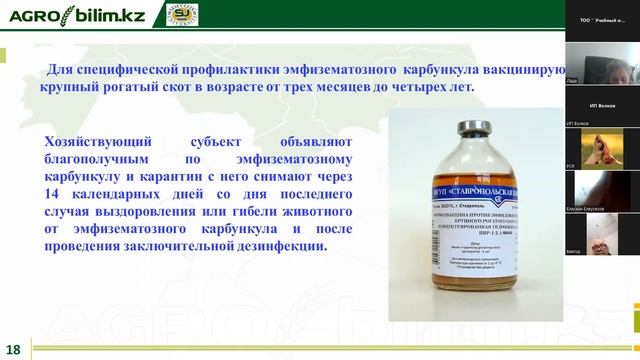 болезни жвачных смотреть онлайн