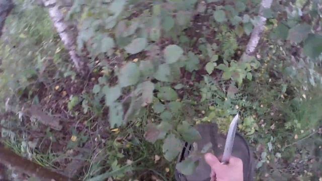 За белыми грибами на военный полигон смотреть онлайн