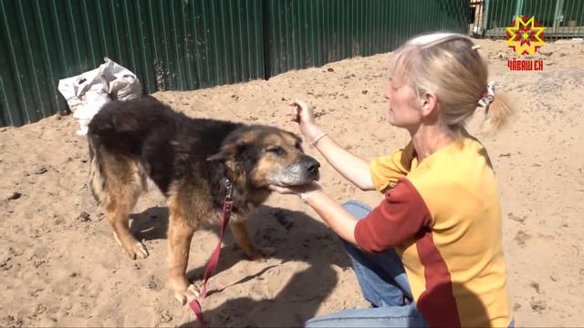 «Пулăшу кĕтесĕ» смотреть онлайн