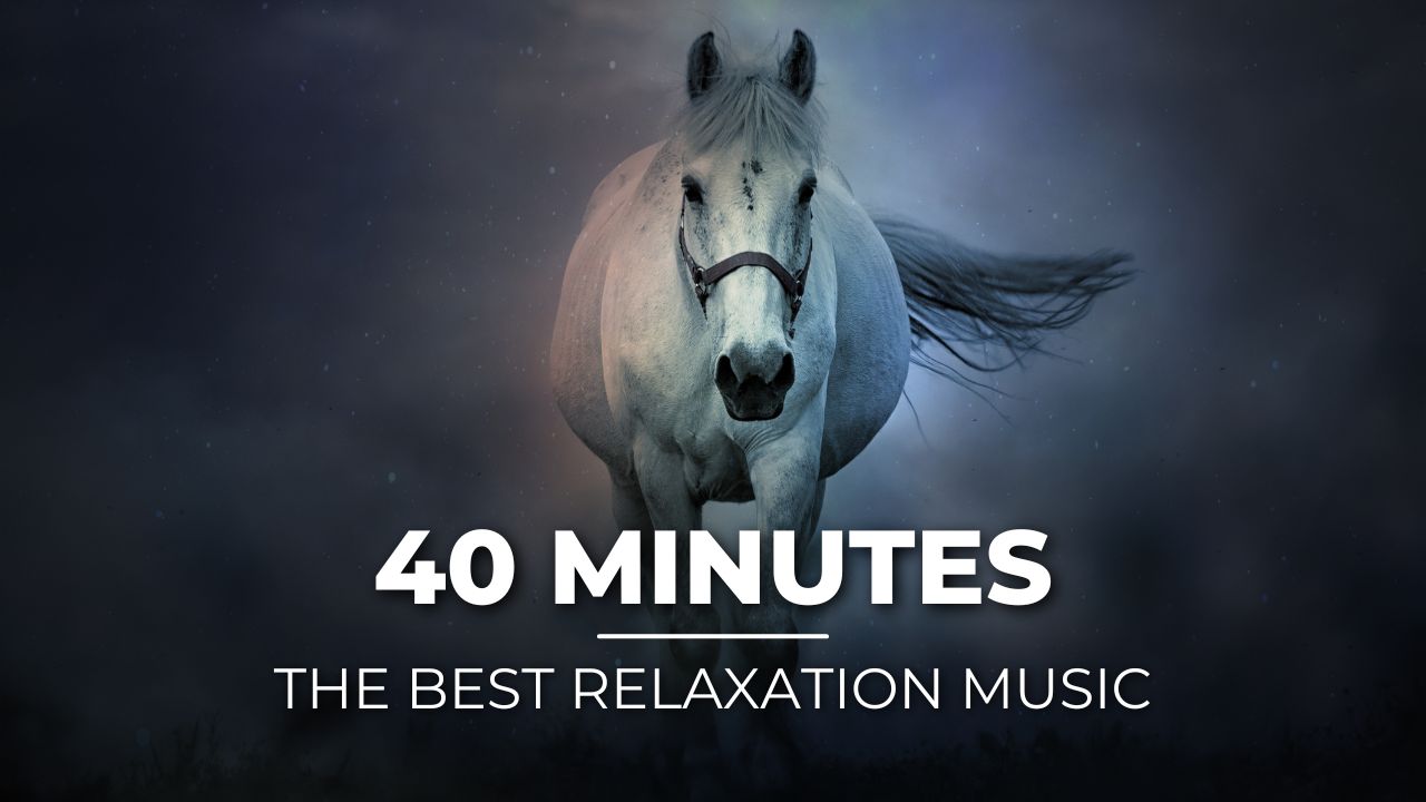 The Best Music For Relaxation. Лучшая музыка для релаксации.