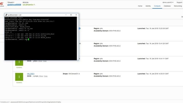Oracle Cloud Infrastructure: Serial Console Access смотреть онлайн