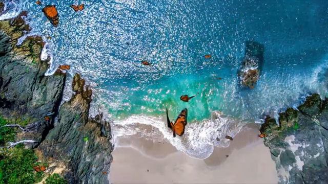 Это Самая Красивая Музыка, которую все ищут*Saxophone*??