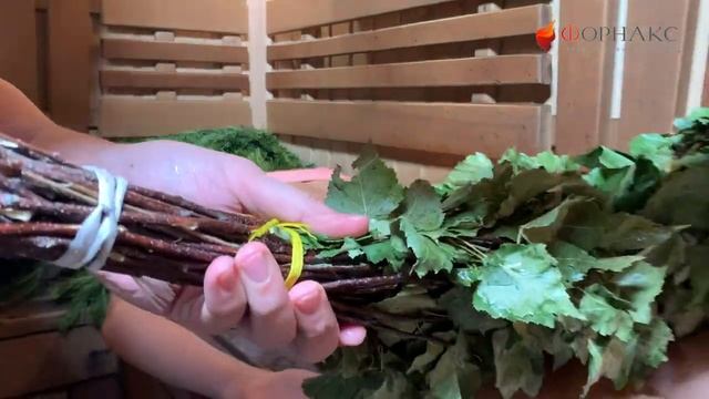 Польза бани для женского здоровья! Советы женщины пармейстера | Женское парение. смотреть онлайн