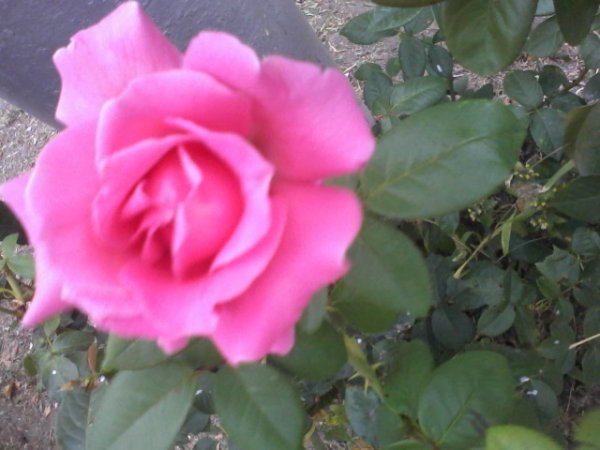 Макеевке 330.mp4