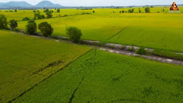 The Most Deeply Relaxing Classical Guitar Music to Sleep Well and Eliminate Stress