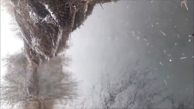 Рыбалка в Моздоке и Ставропольский край .