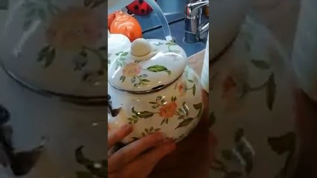 #сгорел_чайник ЧЕМ отмыть нагар? Антижир от #Эрсаг смотреть онлайн